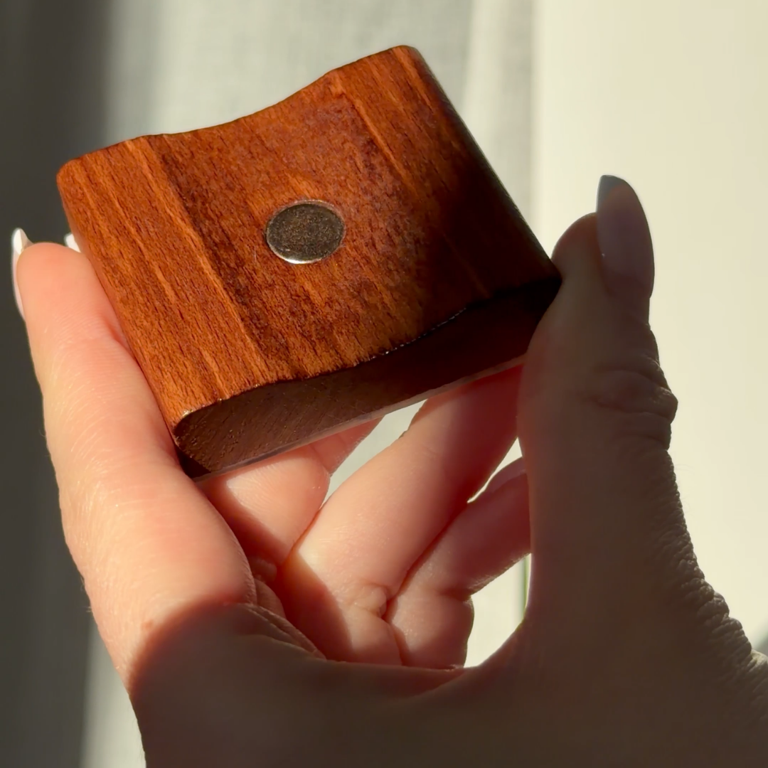 Magnetische Schoenlepel